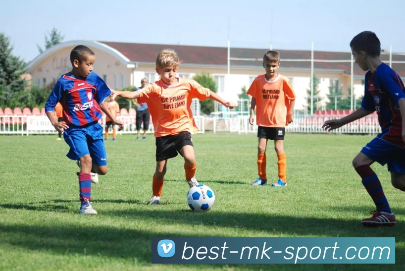 MK体育平台生态图